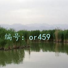 ջ